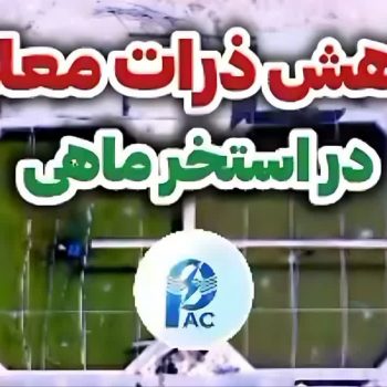 امونیاک در استخر پرورش ماهی