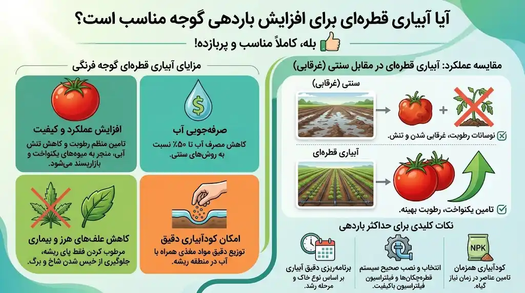 آیا آبیاری قطره‌ای برای افزایش باردهی گوجه مناسب است؟