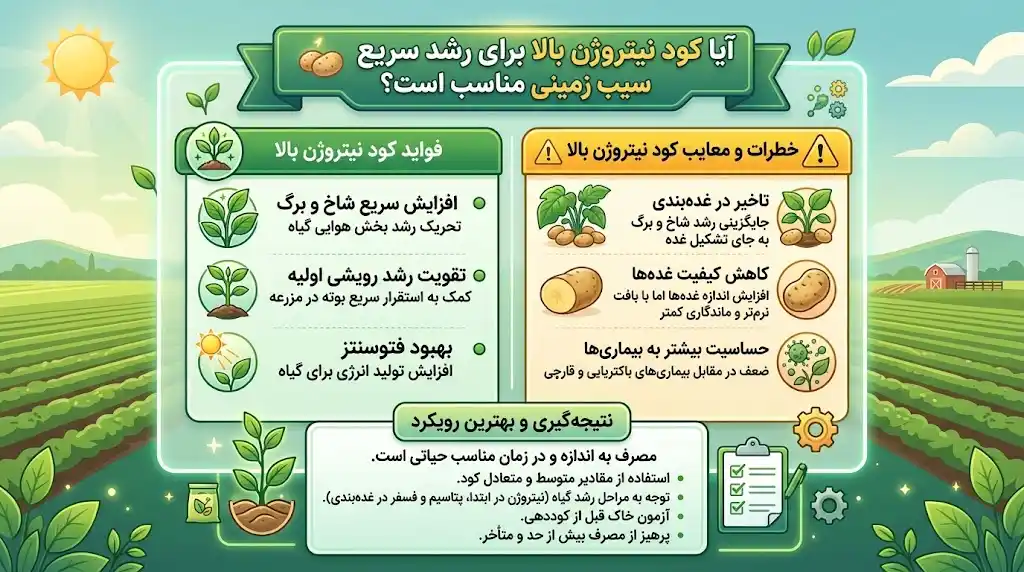 آیا کود نیتروژن بالا برای رشد سریع سیب زمینی مناسب است؟