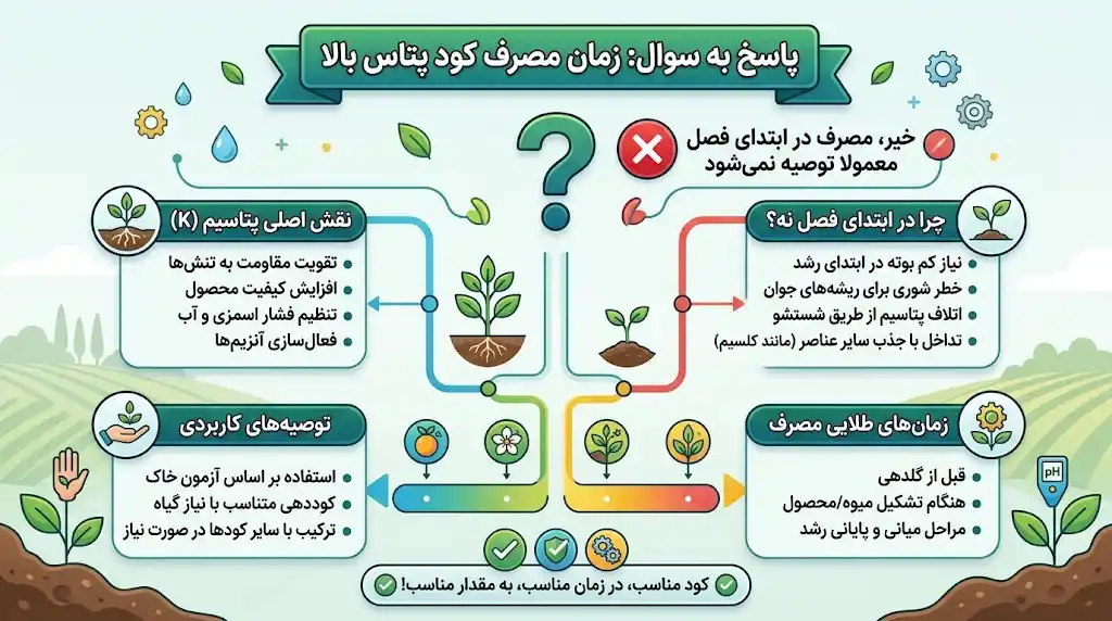 آیا کود پتاس بالا را باید در ابتدای فصل مصرف کرد؟