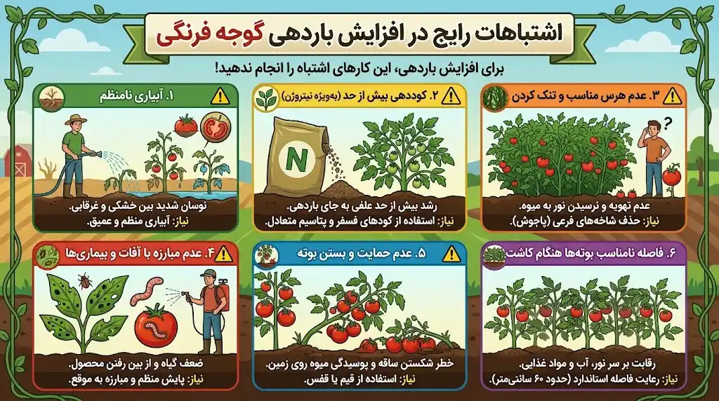 اشتباهات رایج در افزایش باردهی گوجه فرنگی