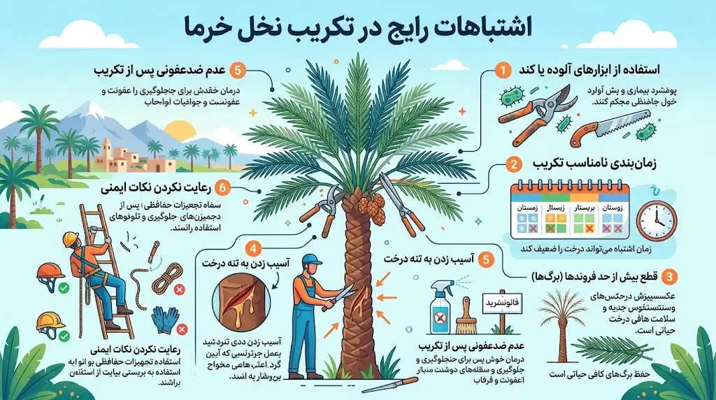 اشتباهات رایج در تکریب نخل خرما
