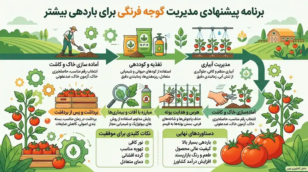 برنامه پیشنهادی مدیریت گوجه فرنگی برای باردهی بیشتر