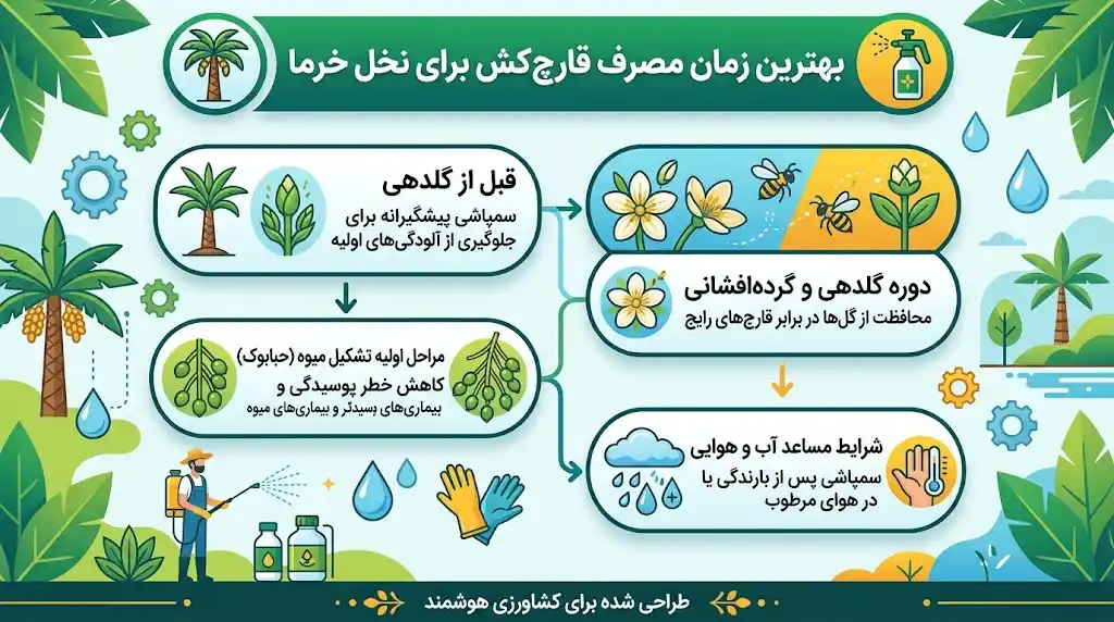 بهترین زمان مصرف قارچ کش برای نخل خرما