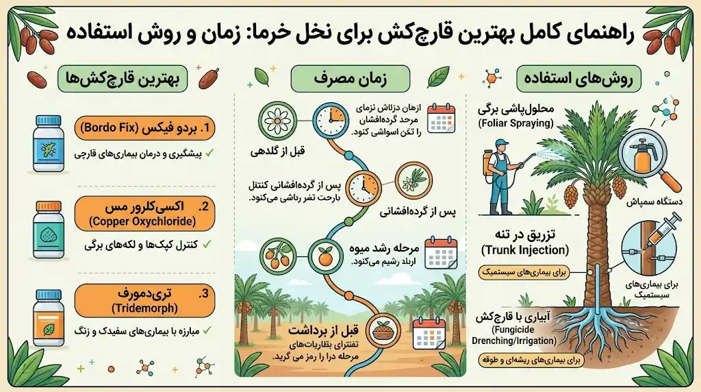 بهترین قارچ کش برای نخل خرما + زمان مصرف و روش استفاده