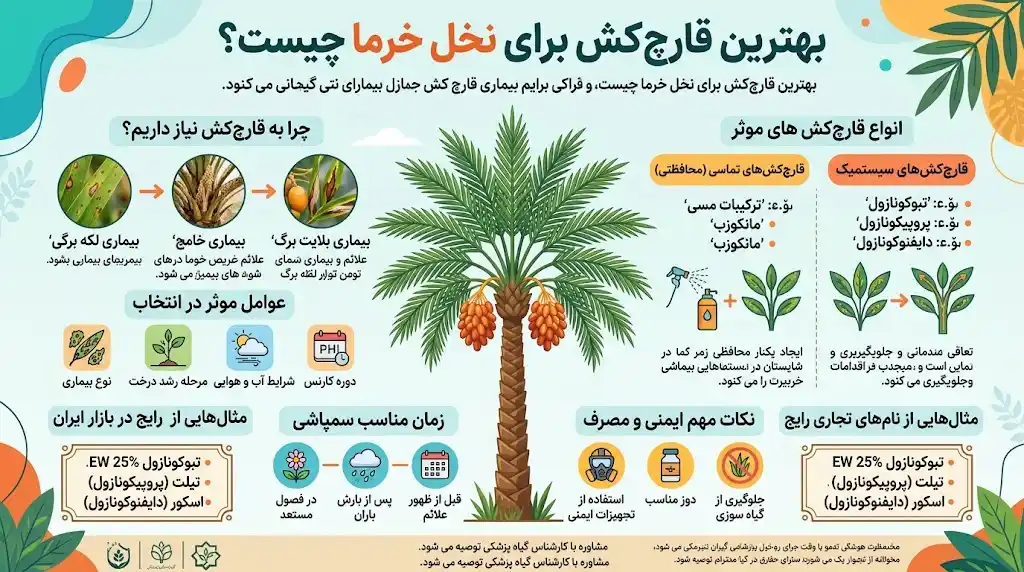 بهترین قارچ کش برای نخل خرما چیست؟