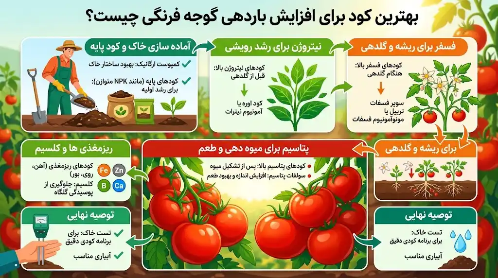 بهترین کود برای افزایش باردهی گوجه فرنگی چیست؟