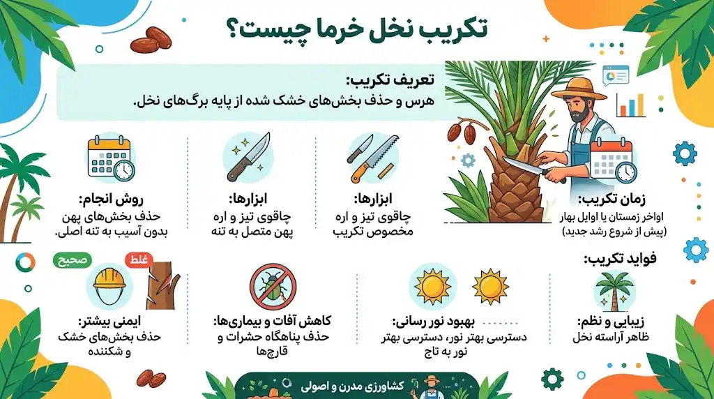 تکریب نخل خرما چیست؟