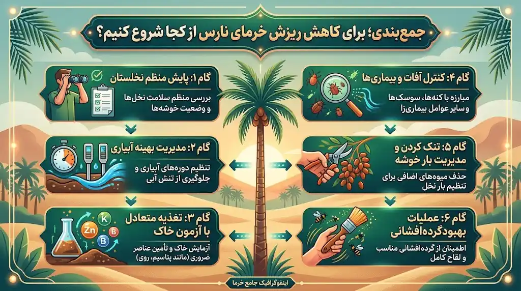 جمع‌بندی؛ برای کاهش ریزش خرمای نارس از کجا شروع کنیم؟