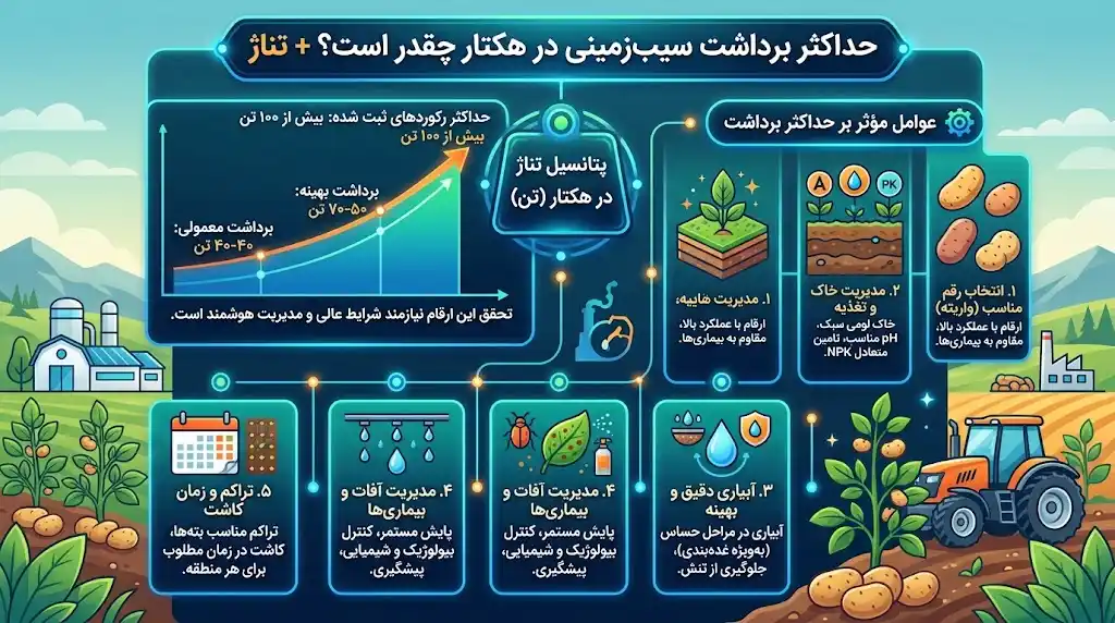 حداکثر برداشت سیب‌زمینی در هکتار چقدر است؟ + تناژ