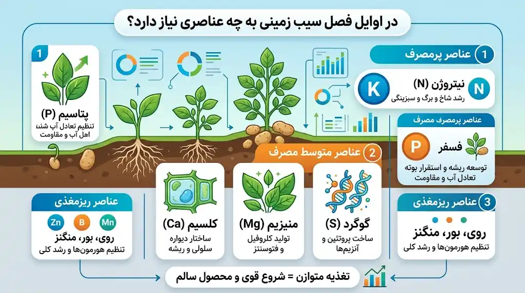 در اوایل فصل سیب زمینی به چه عناصری نیاز دارد؟