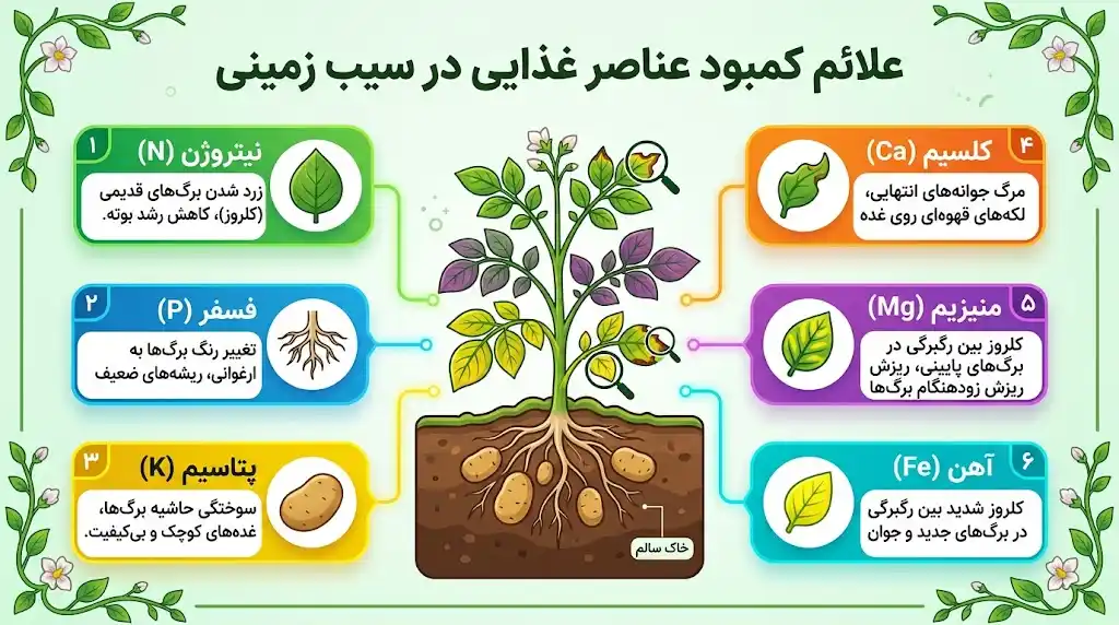 علائم کمبود عناصر غذایی در سیب زمینی