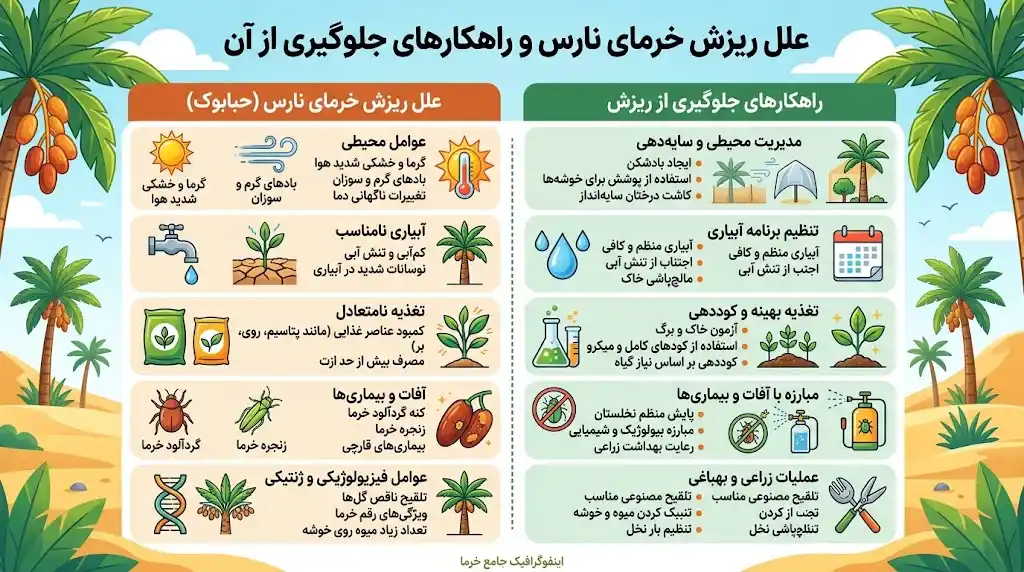 علل ریزش خرمای نارس و راهکارهای جلوگیری از آن