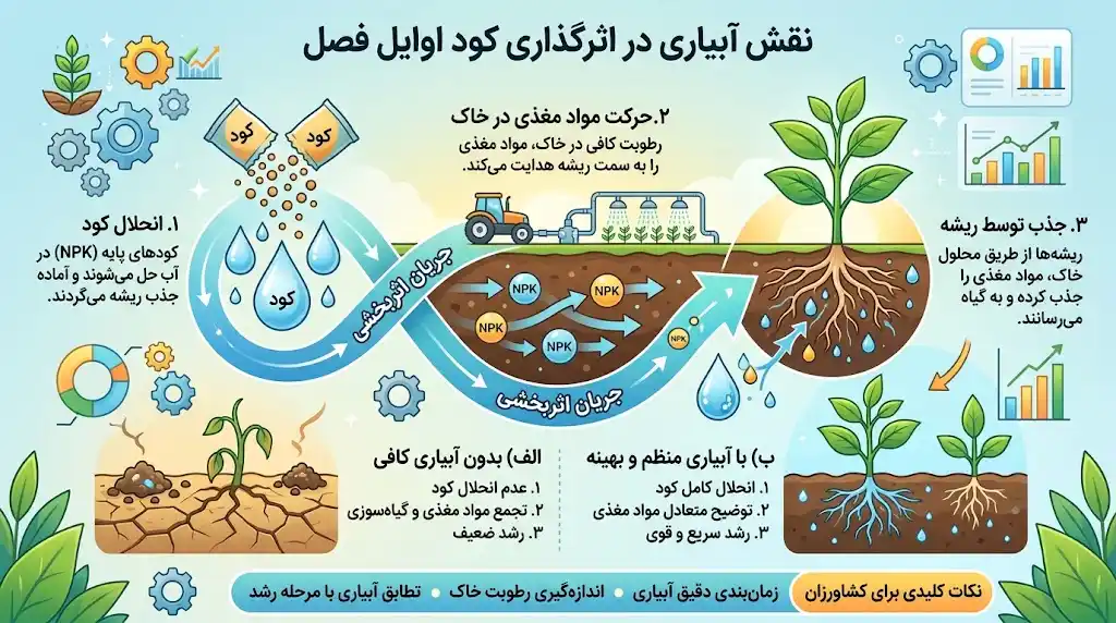 نقش آبیاری در اثرگذاری کود اوایل فصل
