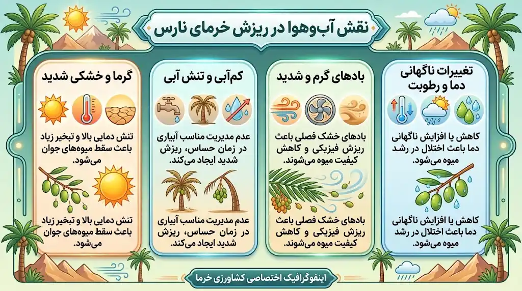 نقش آب‌وهوا در ریزش خرمای نارس