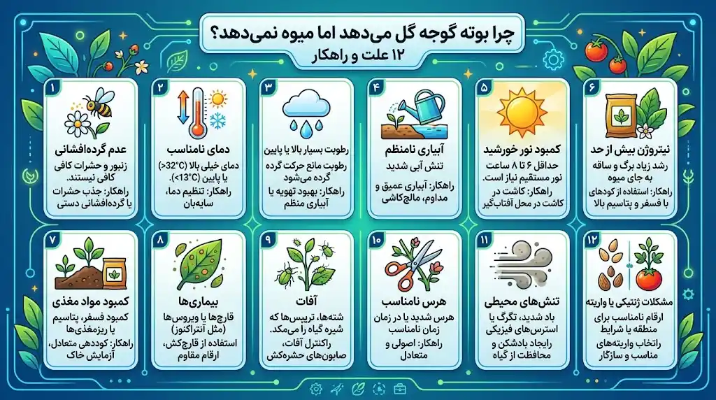 چرا بوته گوجه گل می‌دهد اما میوه نمی‌دهد؟ ۱۲ علت و راهکار