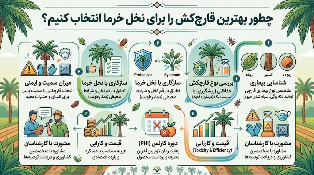 چطور بهترین قارچ کش را برای نخل خرما انتخاب کنیم؟