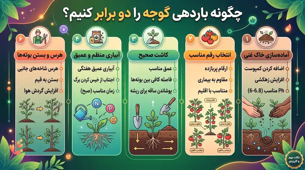 چگونه باردهی گوجه را دو برابر کنیم؟