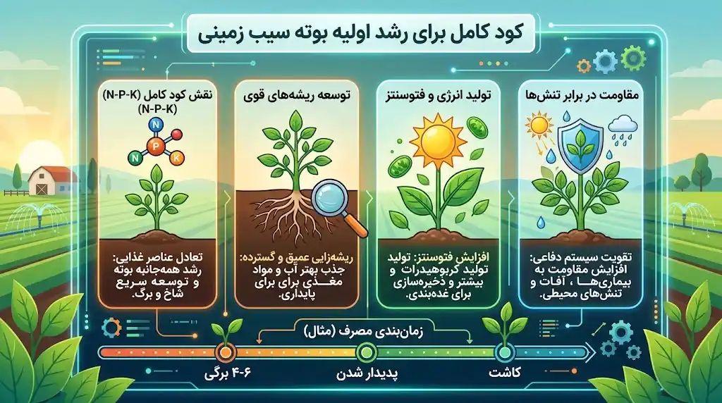 کود کامل برای رشد اولیه بوته سیب زمینی