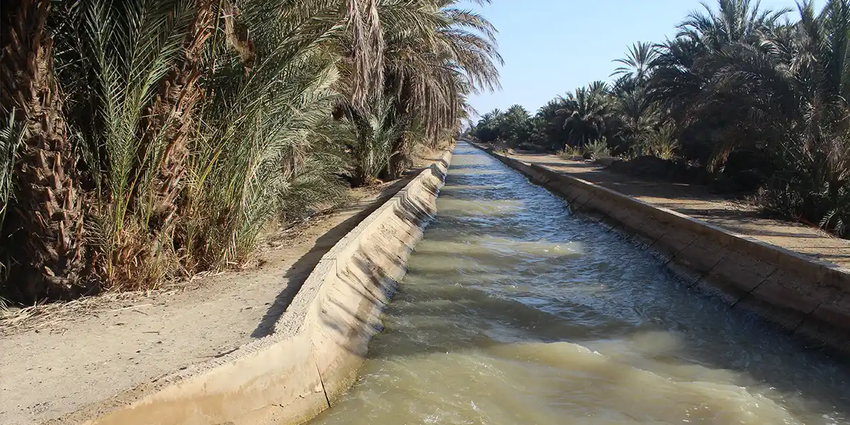 آبیاری نخلستان